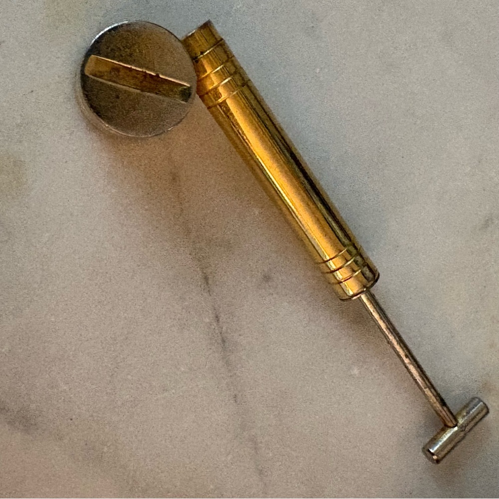 Vintage Gold and Silver Perfume Atomizer in Bug Sprayer Shape